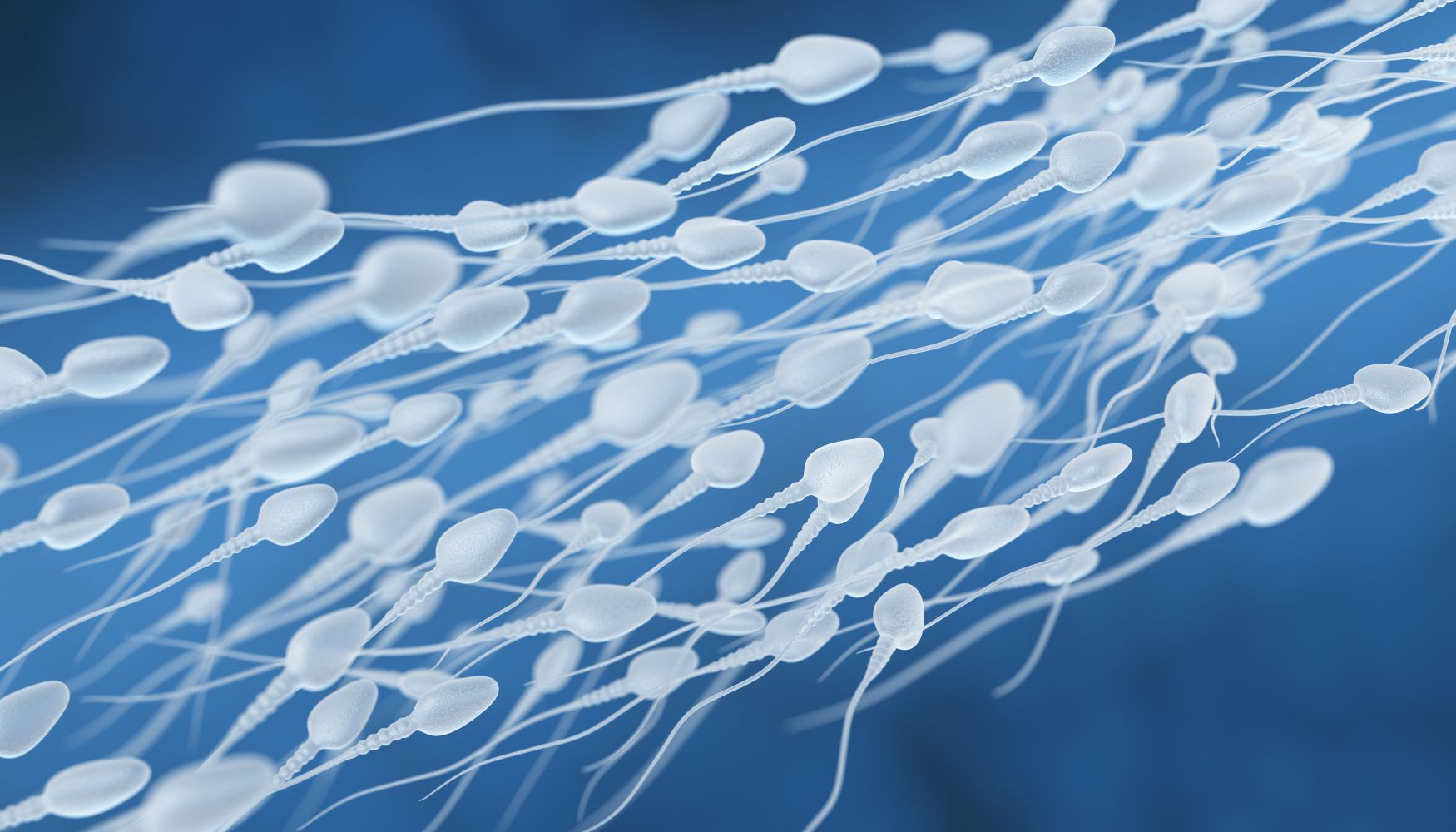 Azoospermia – co to?